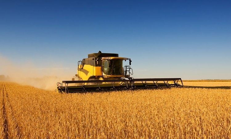 Subsidized fertilizers under the Agribusiness 2020 program